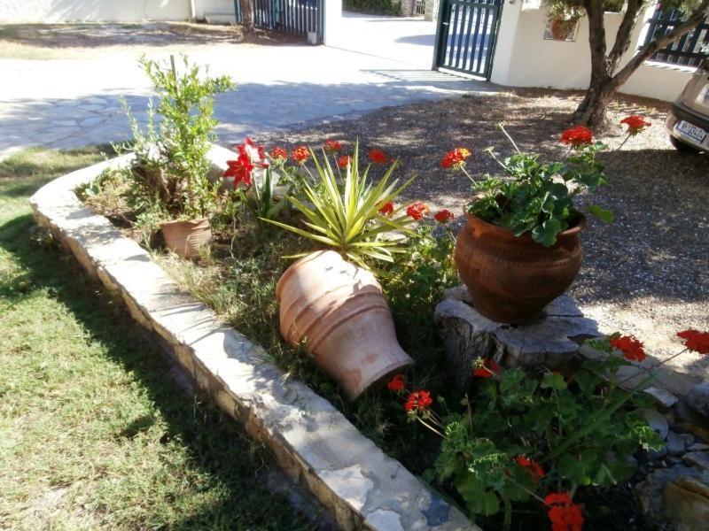 Ferienwohnung Olive House Elia Nikitis Exterior foto