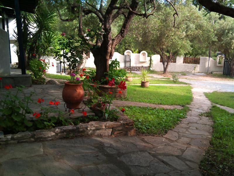 Ferienwohnung Olive House Elia Nikitis Exterior foto